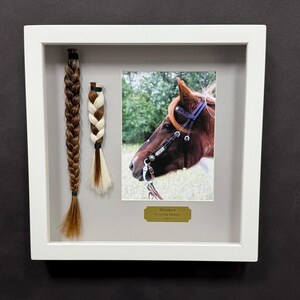 Horse Tail Equine Memorials WHITE Frame image 15
