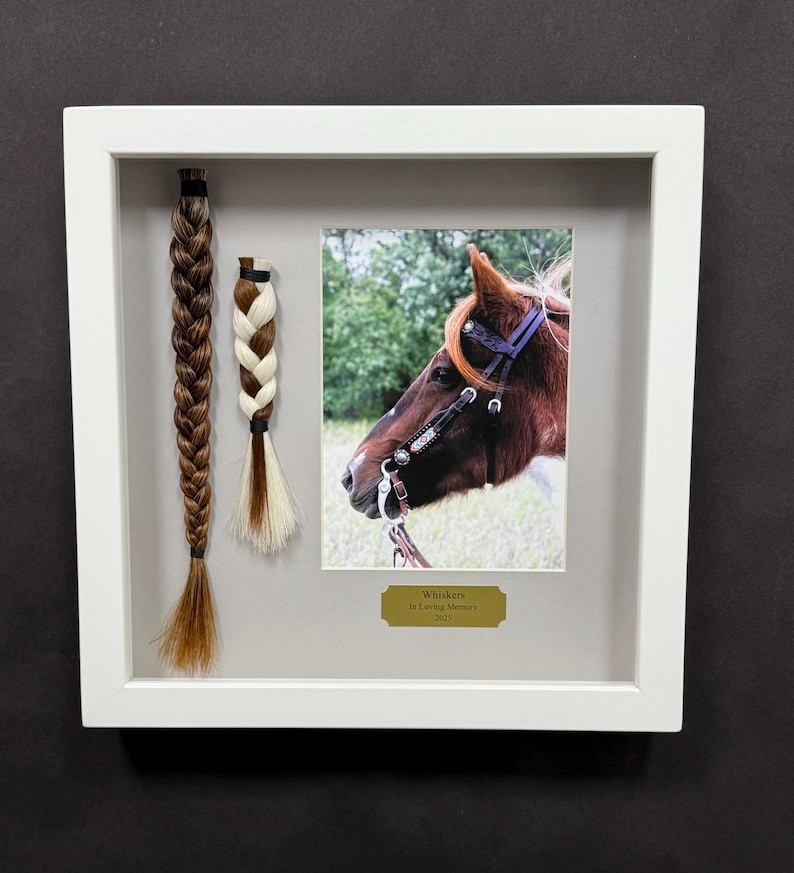 Horse Tail Equine Memorials WHITE Frame image 15