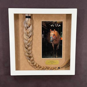 Horse Tail Equine Memorials WHITE Frame image 11