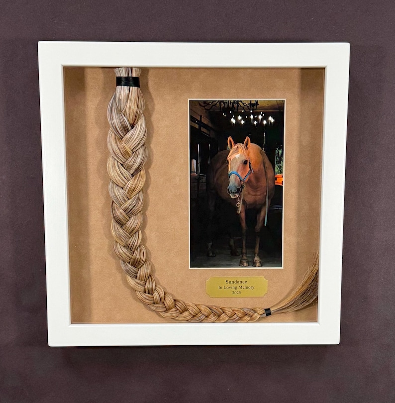 Horse Tail Equine Memorials WHITE Frame image 11