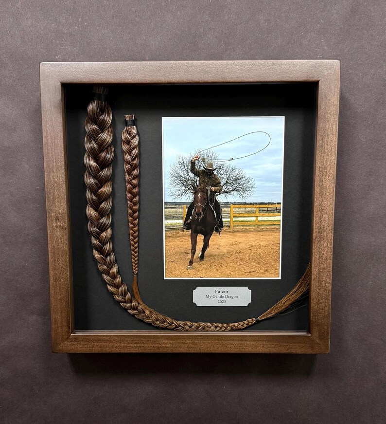Horse Tail Equine Memorials WALNUT Stain Frame image 14