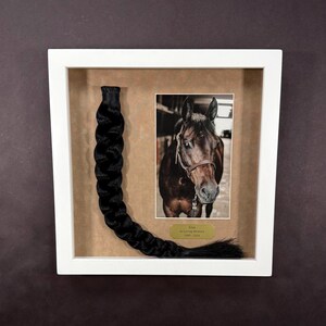 Horse Tail Equine Memorials WHITE Frame image 16