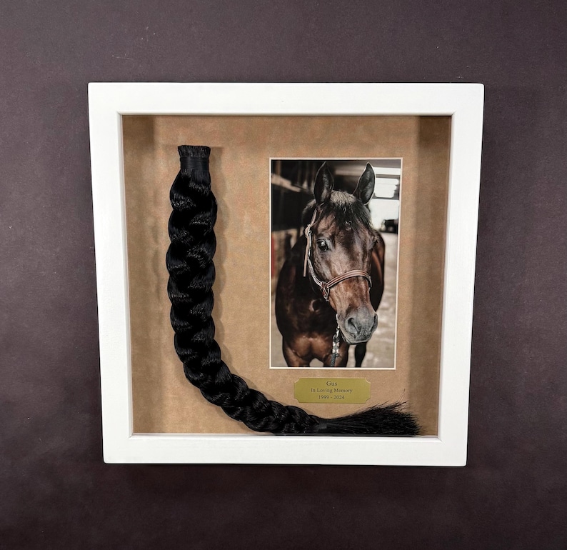 Horse Tail Equine Memorials WHITE Frame image 16