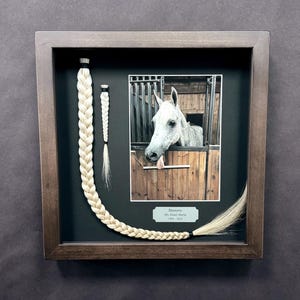 Horse Tail Equine Memorials WALNUT Stain Frame image 13