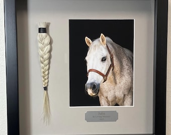 Puede incluir: Memorial enmarcado con un retrato de un caballo gris con una brida marrón sobre un fondo negro. Un mechón trenzado de cabello claro se muestra a la izquierda. Una placa debajo de la foto dice "Julia In Loving Memory 2023."