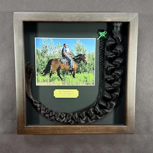 Horse Tail Equine Memorials WALNUT Stain Frame image 11