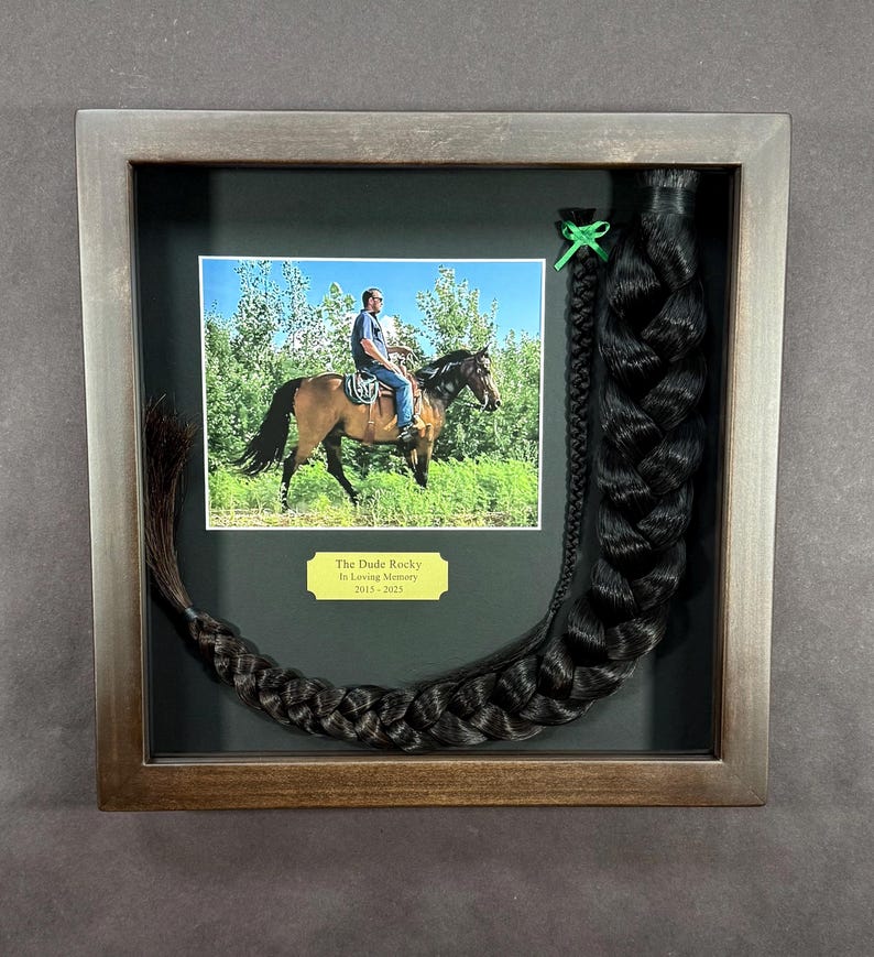 Horse Tail Equine Memorials WALNUT Stain Frame image 11