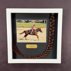 Horse Tail Equine Memorials WHITE Frame image 12