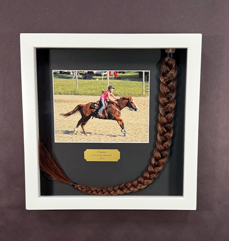 Horse Tail Equine Memorials WHITE Frame image 12