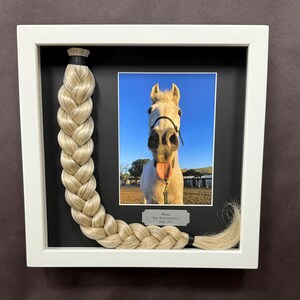 Horse Tail Equine Memorials WHITE Frame image 17