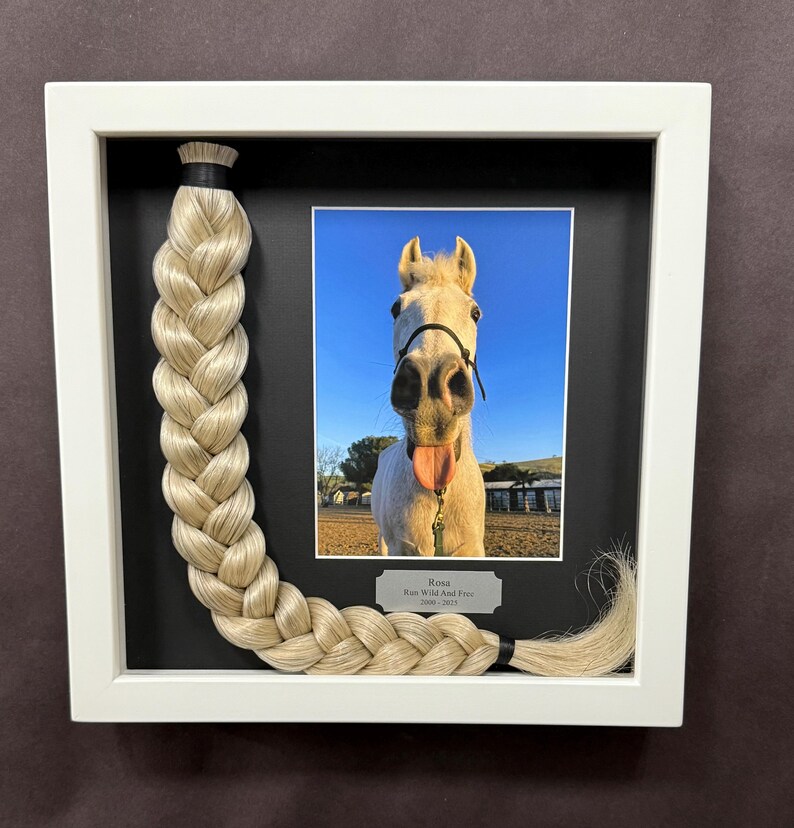Horse Tail Equine Memorials WHITE Frame image 17