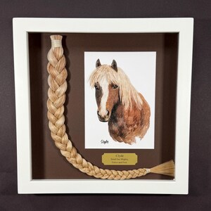 Horse Tail Equine Memorials WHITE Frame image 18