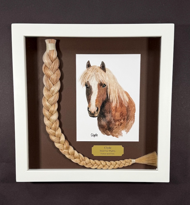 Horse Tail Equine Memorials WHITE Frame image 18