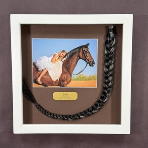 Horse Tail Equine Memorials WHITE Frame image 13