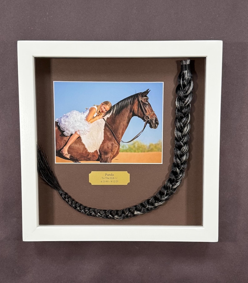 Horse Tail Equine Memorials WHITE Frame image 13