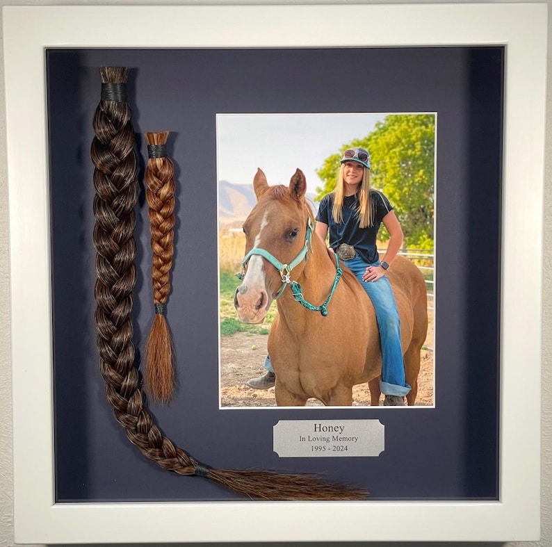 May include: A framed photo of a woman riding a horse with a blue background. The photo is accompanied by two braids of hair, one long and one short, with a plaque that reads "Honey In Loving Memory 1995-2024".