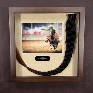 Horse Tail Equine Memorials WALNUT Stain Frame image 10