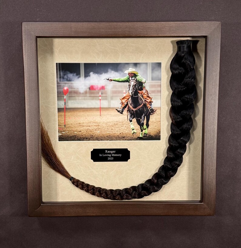 Horse Tail Equine Memorials WALNUT Stain Frame image 10