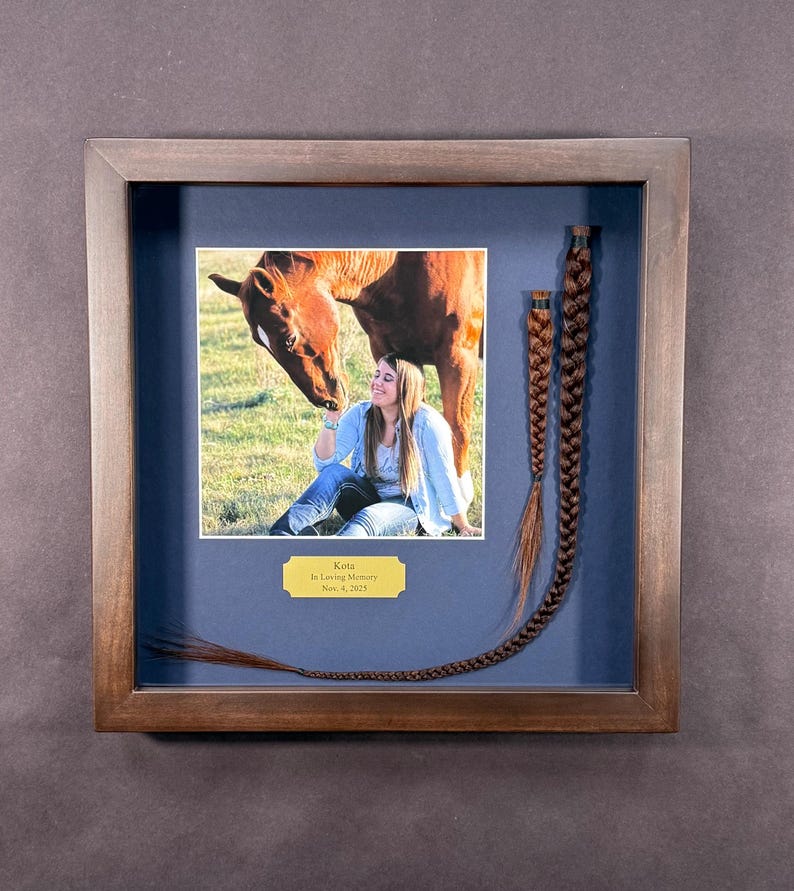 Horse Tail Equine Memorials WALNUT Stain Frame image 12