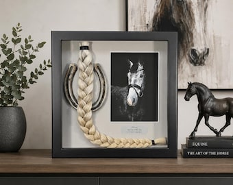 Add a Horseshoe Only    (this listing does not include the framing)
