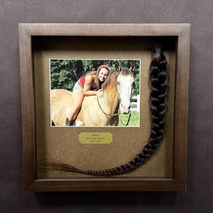 Horse Tail Equine Memorials WALNUT Stain Frame image 15