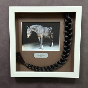 Horse Tail Equine Memorials WHITE Frame image 14