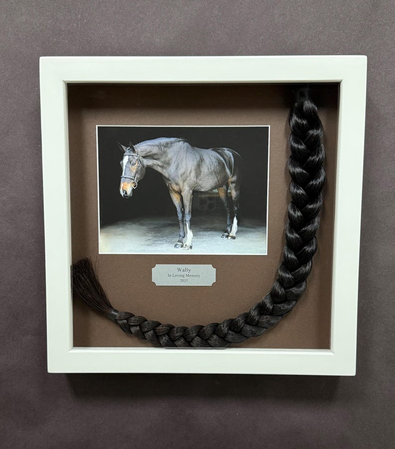 Horse Tail Equine Memorials WHITE Frame image 14