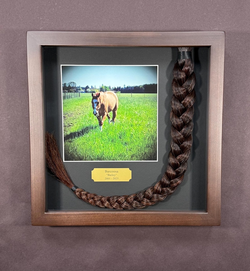 Horse Tail Equine Memorials WALNUT Stain Frame image 9