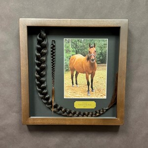 Horse Tail Equine Memorials WALNUT Stain Frame image 7