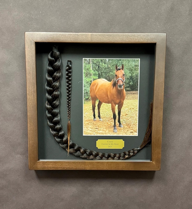 Horse Tail Equine Memorials WALNUT Stain Frame image 7