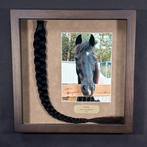 Horse Tail Equine Memorials WALNUT Stain Frame image 16