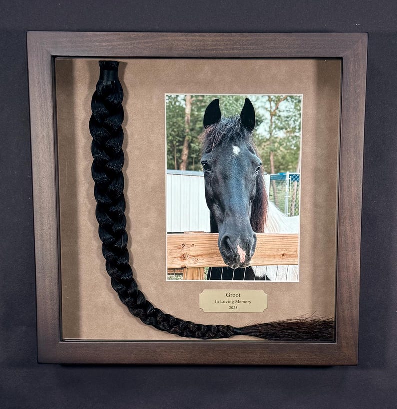 Horse Tail Equine Memorials WALNUT Stain Frame image 16