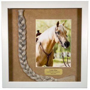 May include: A framed photo of a palomino horse with a braided tail of horse hair. The photo is in a white frame with a brown mat. The horse is wearing a bridle and a saddle. The photo is titled "Lena Mae Lost But Never Forgotten 2002-2024".