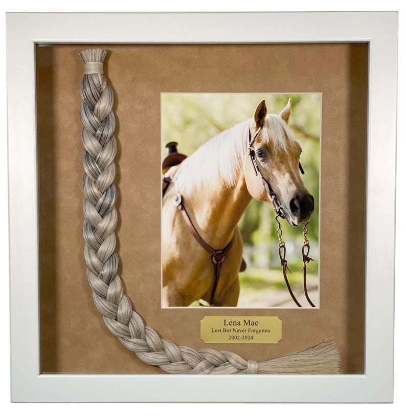 May include: A framed photo of a palomino horse with a braided tail of horse hair. The photo is in a white frame with a brown mat. The horse is wearing a bridle and a saddle. The photo is titled "Lena Mae Lost But Never Forgotten 2002-2024".