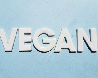 5  white letters mosaic tiles spelling vegan. Handmade ceramic pieces or YOU CHOOSE WHICH letters you require