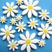 Owner of <a href='https://www.etsy.com/shop/RedShedCeramics?ref=l2-about-shopname&from_page=listing' class='wt-text-link'>RedShedCeramics</a>