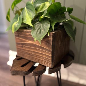 May include: A green leafy plant in a dark brown wooden planter box, sitting on a dark brown wooden leaf-shaped stand with black metal legs.