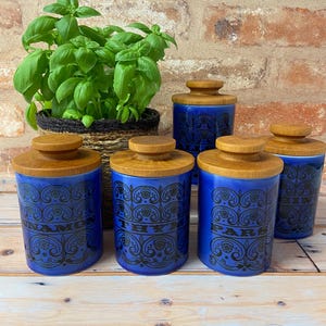 May include: Five blue ceramic spice jars with wooden lids, each with a black floral design and a spice name. A woven basket with a green plant is in the background. The jars are for herbs and spices.