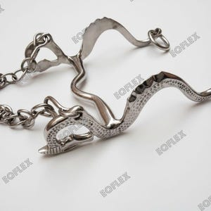 Dragon Shank Horse Curb Bit: The Legendary Show Tack