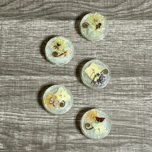 May include: Five round, clear resin pieces with embedded dried flowers and insects. Each piece features a different arrangement of yellow, purple, and white flowers, along with a small insect or butterfly. A decorative swirl is included in each piece.
