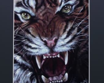 Realistic Tiger With Fangs Tigro Original Artwork