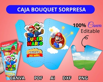 Printable Mario Bros Surprise Birthday Bouquet Box Template (Canva template) Mario and Luigi
