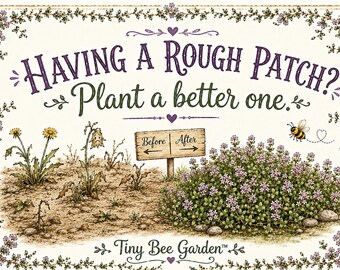 Get Well Gift, Encouragement Card, Thinking of You Card
