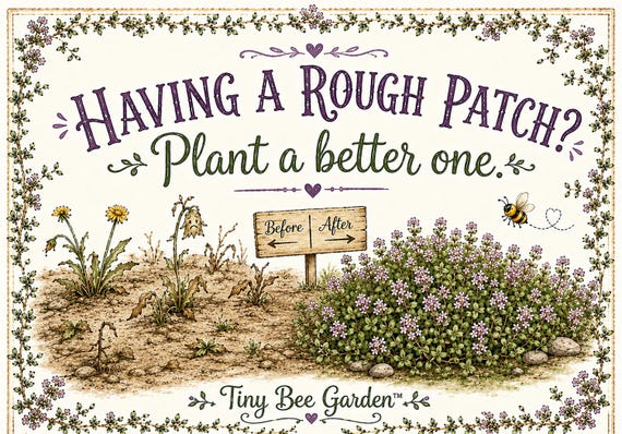Get Well Gift, Encouragement Card, Thinking of You Card