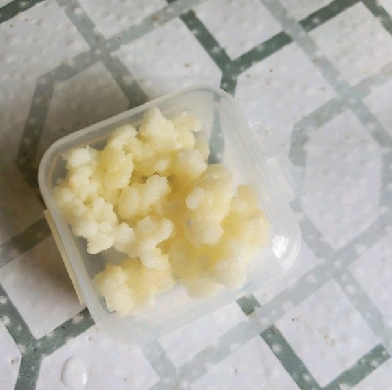 Live Milk Kefir Grains, Active Starter Culture for Homemade Kefir, Fresh A2 Fermentation Kit