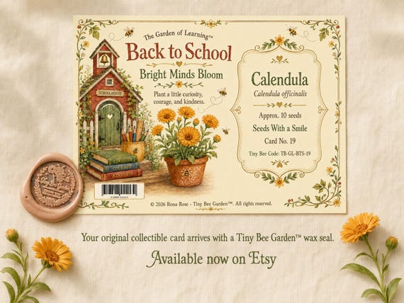 Back to School Teacher Gift, Teacher Appreciation Card with Calendula Seeds, Thank You from Student