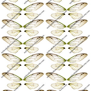 May include: A digital sheet featuring multiple pairs of translucent insect wings with intricate black vein patterns. Each wing set is arranged in rows and columns, with the text mybeadedbohemian.etsy.com repeated across the surface.
