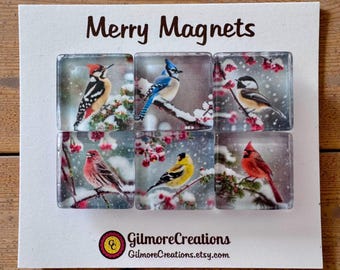 Set of 6 Square Glass Magnets  “Winter Birds”