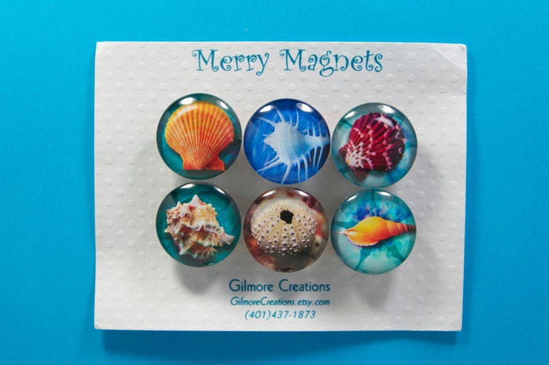 Set of Glass Fridge Magnets  Sea Shell Designs image 1