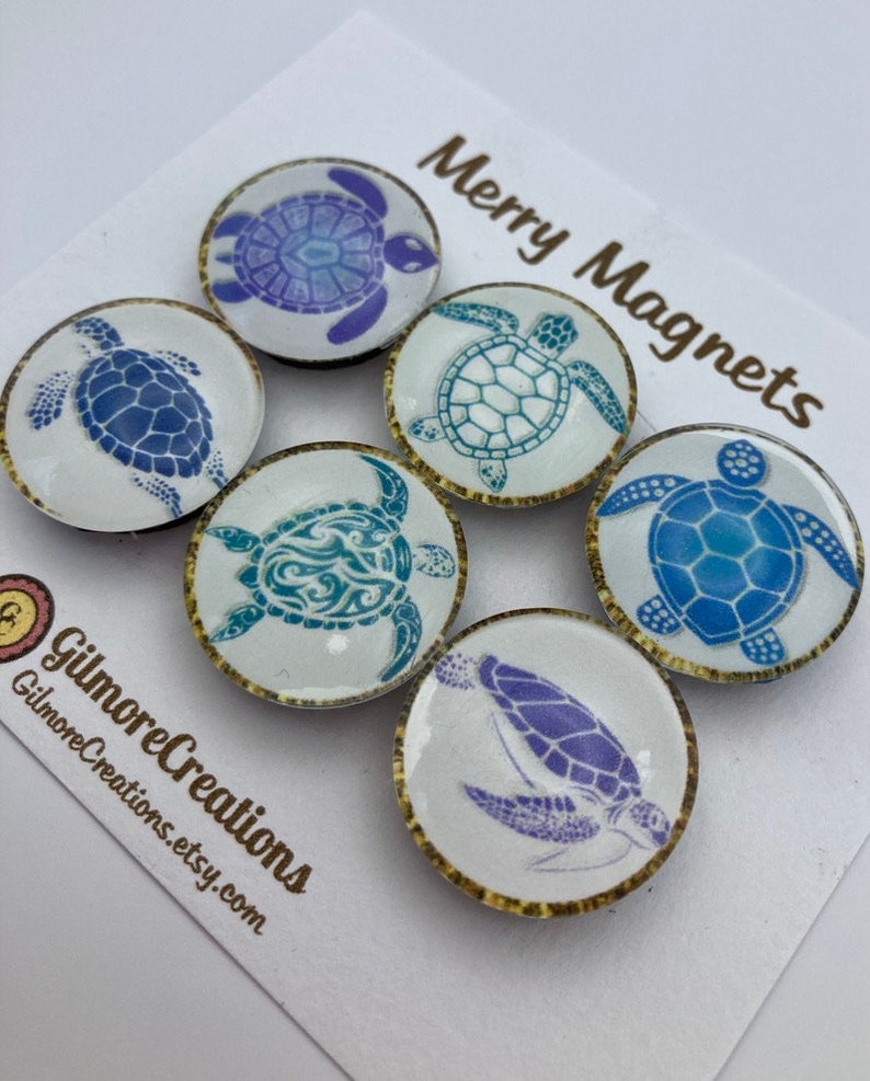 Turtle Races With Magnets Set of Glass Magnets